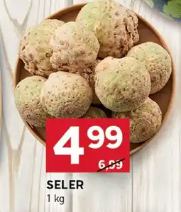 Stokrotka Seler Stokrotka oferta