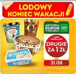 Żabka Lody familijne różne oferta