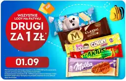 Żabka Lody na patyku różne oferta
