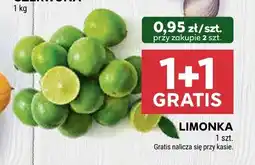 Stokrotka Limonka Stokrotka oferta