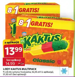 Stokrotka Lody Kaktus multipack oferta