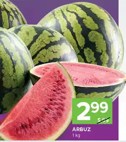 Stokrotka Arbuz Stokrotka oferta