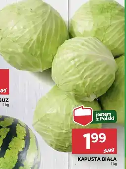 Stokrotka Kapusta biała Stokrotka oferta