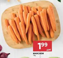 Stokrotka Marchew Stokrotka oferta