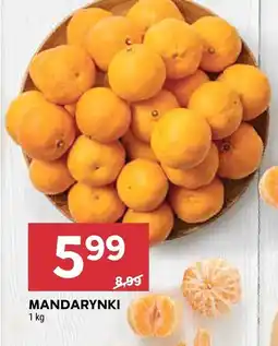 Stokrotka Mandarynki Stokrotka oferta