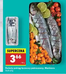 Biedronka Pstrąg tęczowy oferta