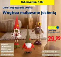 Lidl Dekoracyjny krasnal Livarno home oferta