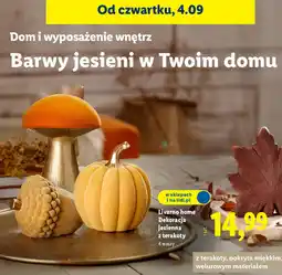 Lidl Dekoracja jesienna Livarno Home oferta