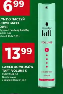 Stokrotka Lakier do włosów Taft Volume 5 oferta