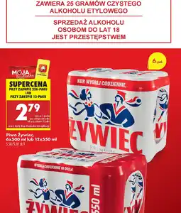 Biedronka Piwo Zywiec oferta