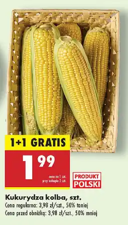 Biedronka Kukurydza kolba oferta