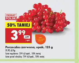 Biedronka Porzeczka czerwona oferta