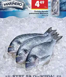 Biedronka Dorada patroszona Marinero oferta