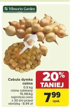Carrefour Cebula dymka ozima Vilmorin Garden oferta