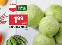 Stokrotka Market Kapusta biała Polski oferta