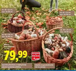 Lidl Kosz Wikpol oferta