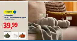 Lidl Zestaw poduszek Livarno oferta