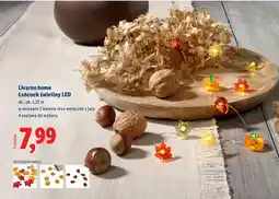 Lidl Łańcuch świetlny Livarno oferta