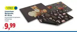 Lidl Wycieraczka Livarno oferta