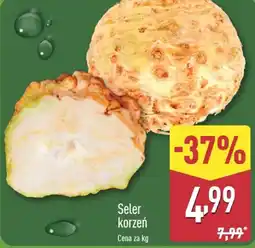 ALDI Seler korzeń oferta