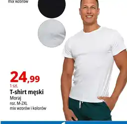 E.Leclerc T-shirt męski m-2xl Moraj oferta