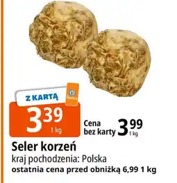 E.Leclerc Seler korzeń polska oferta