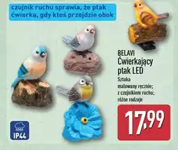 ALDI Cwierkający ptak LED Belavi oferta