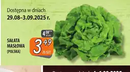 Społem Szczecin Sałata masłowa oferta
