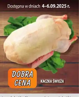 Społem Szczecin Kaczka świeża oferta