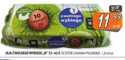 Społem Szczecin Jaja z wolnego wybiegu oferta