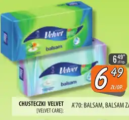 Społem Szczecin Chusteczki Velvet oferta