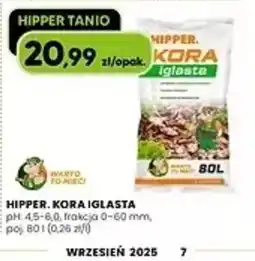 Hipper.pl Hipper Kora Iglasta oferta