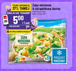 Polomarket Zupa wiosenna 9-składnikowa Hortex Polski Ogród oferta