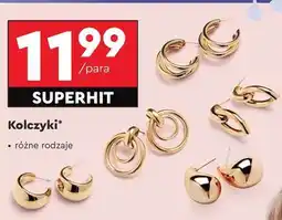 Biedronka Kolczyki oferta