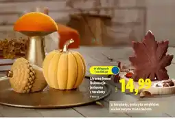 Lidl Livarno home Jesienna dekoracja z terakoty oferta