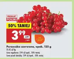 Biedronka Porzeczka czerwona, opak. 125 g oferta
