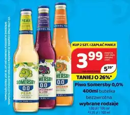 Delfin Piwo Somersby 0,0% oferta