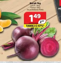 Delfin Burak oferta