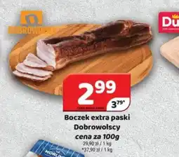 Delfin Boczek extra paski Dobrowolscy oferta