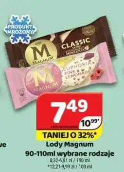 Delfin Lody Magnum oferta