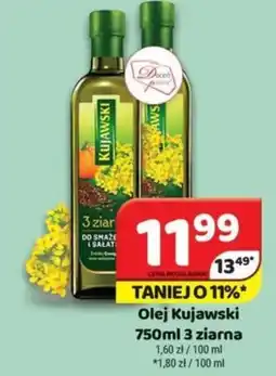 Delfin Olej Kujawski oferta