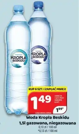Delfin Woda Kropla Beskidu oferta
