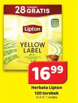 Delfin Herbata Lipton oferta