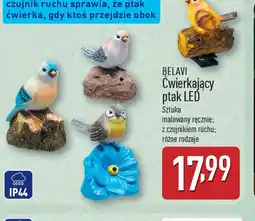 ALDI Belavi Cwierkający ptak LED oferta