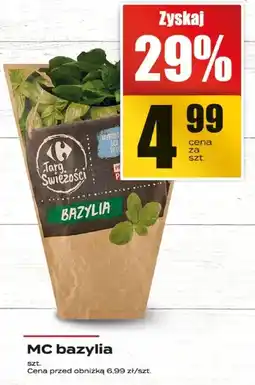 Supeco MC bazylia Carrefour oferta
