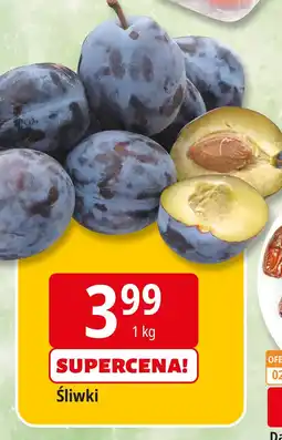E.Leclerc Śliwki Leclerc oferta