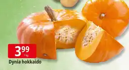 E.Leclerc Dynia hokkaido Leclerc oferta