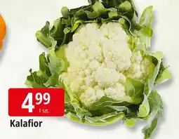 E.Leclerc Kalafior Leclerc oferta