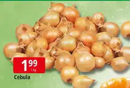 E.Leclerc Cebula Leclerc oferta