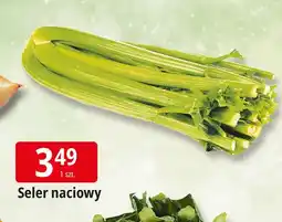 E.Leclerc Seler naciowy Leclerc oferta